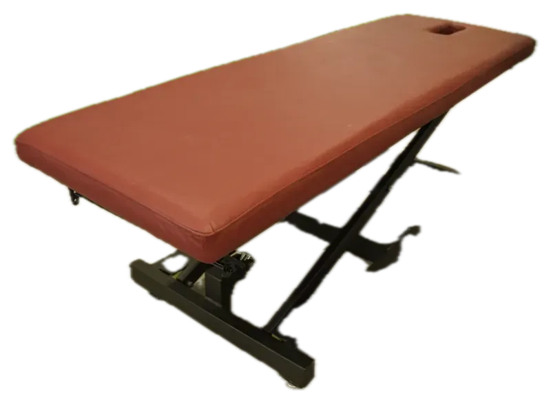 Smart Medicure electric hi-lo treatment table